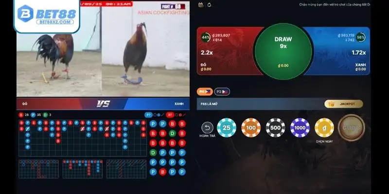 Khái niệm đá gà trực tiếp