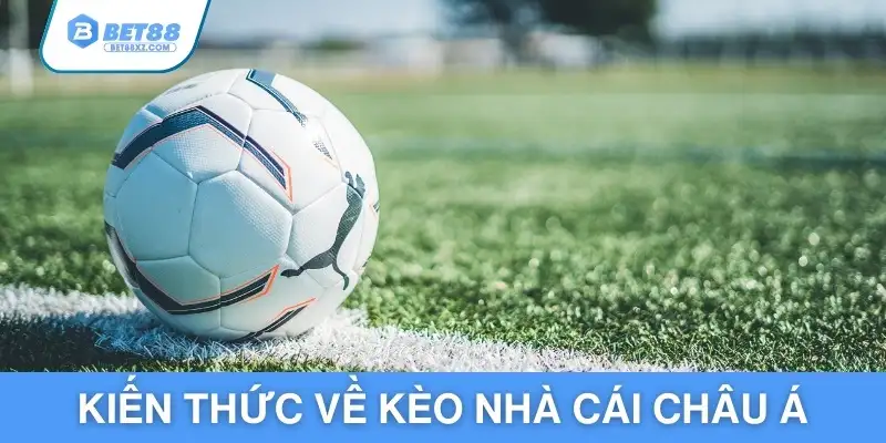 Kiến thức về kèo nhà cái châu Á