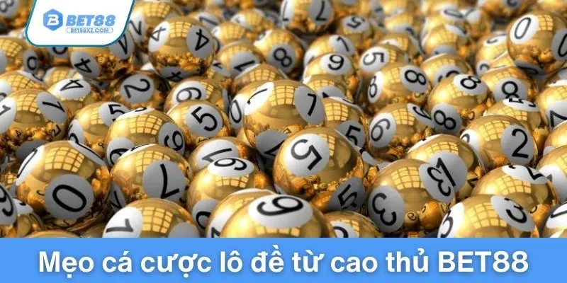 Mẹo cá cược lô đề từ cao thủ xổ số Bet88
