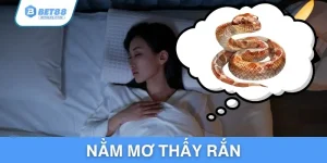 nam-mo-thay-ran