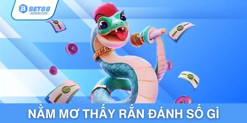 nam-mo-thay-ran-danh-so-gi